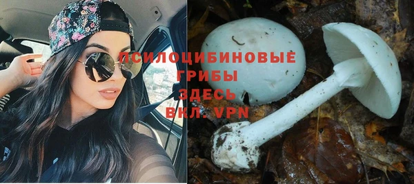 амфетамин Белокуриха
