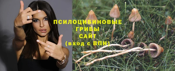 кокаин премиум Беломорск