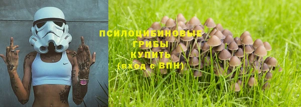 амфетамин Белокуриха