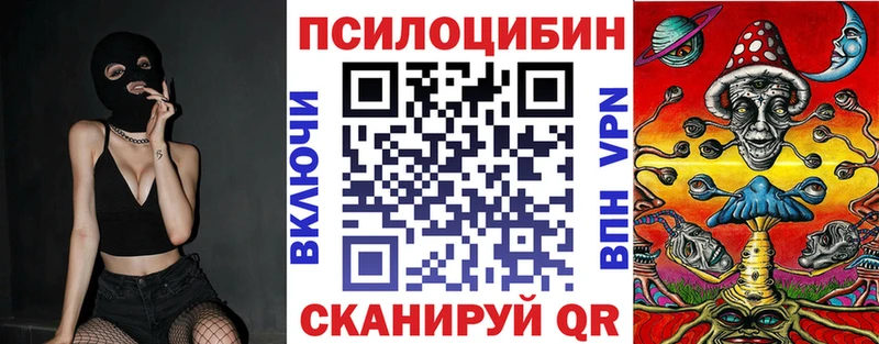 Галлюциногенные грибы Psilocybine cubensis Верхний Тагил